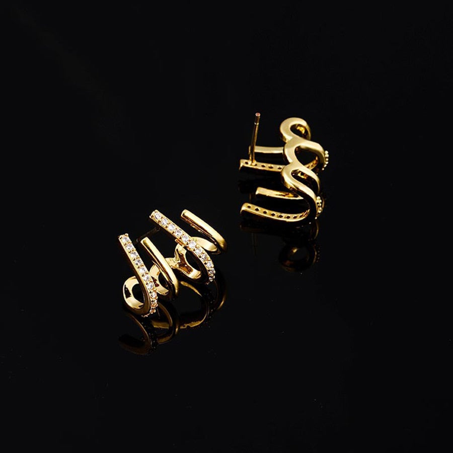 Hollow Crystal Zirconia Brass Coil Earrings