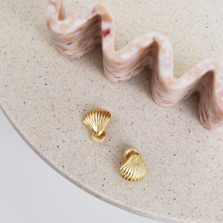 Gold Shell Brass Coil Earrings